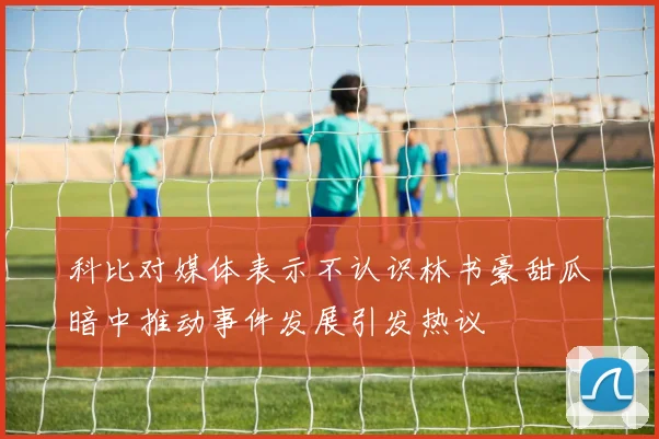 科比对媒体表示不认识林书豪甜瓜暗中推动事件发展引发热议