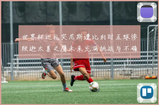 世界杯巡礼突尼斯遭比利时五球惨败迦太基之鹰未来充满挑战与不确定性